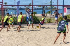 Paulo-Loureiro-33